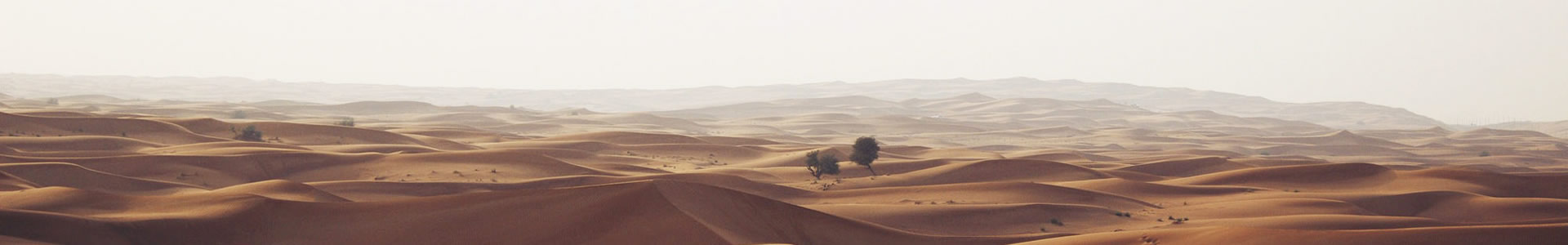ػҵ޹˾